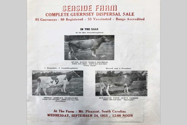 Prior to Three Gates Cattle Co. being established, the Darby Family ancestors were raising cattle on the very same family owned pastures our Belties still graze today (1958)